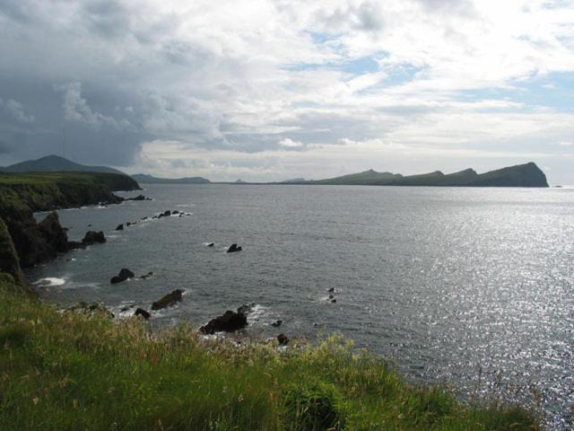 Coill An Rois B&B Ballydavid Экстерьер фото