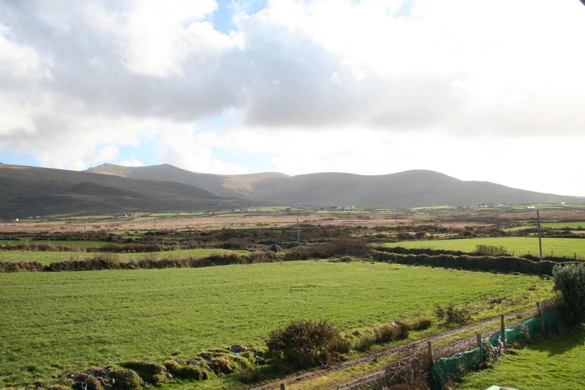 Coill An Rois B&B Ballydavid Экстерьер фото