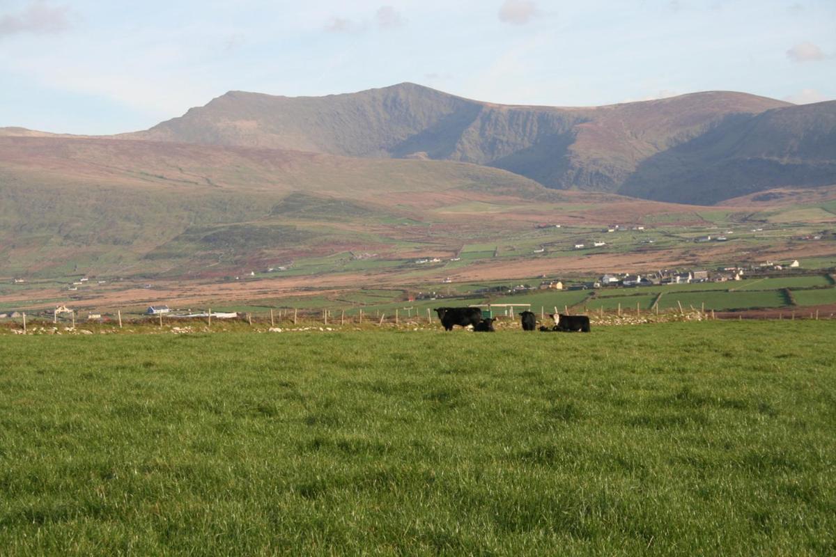 Coill An Rois B&B Ballydavid Экстерьер фото
